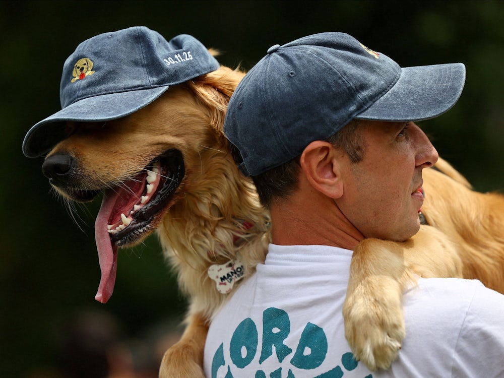 Momentaufnahmen im Dezember: Bilder des Tages