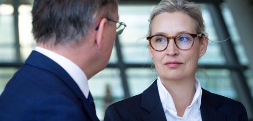 Angeblicher Ärger wegen »Identitärer Bewegung« Es sieht aus wie ein AfD-interner Streit.