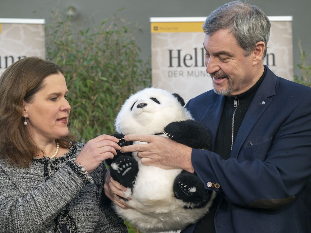 Münchner Zoo: „Wir haben uns in die Pandas verliebt“