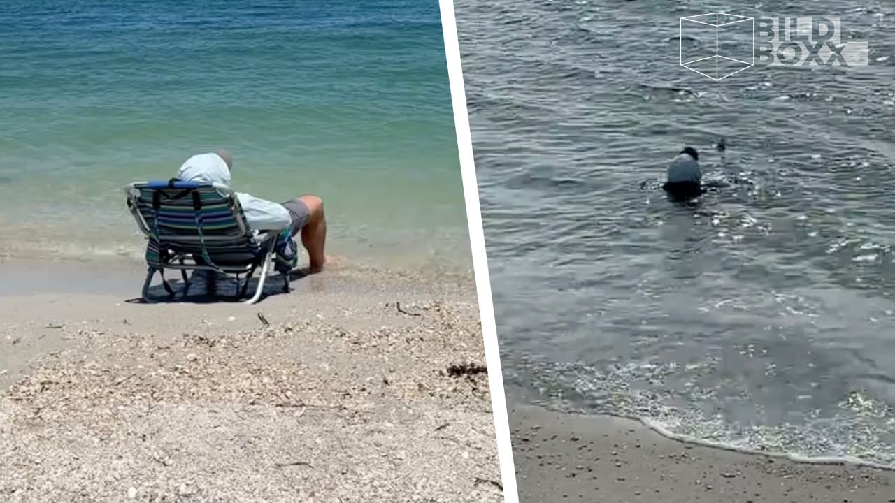 Einmal richtig ausschlafen!: Frau vergisst Mann drei Stunden im MeerMehr zum Video
