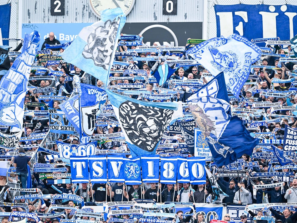 Gewalt in der Fußballszene: Löwen-Fan von etwa zehn jungen Männern zusammengeschlagen