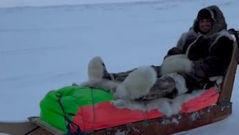 Husky-Tour und Bergsteigen: Zlatans eiskalte Tour durch die Arktis Mehr zum Video