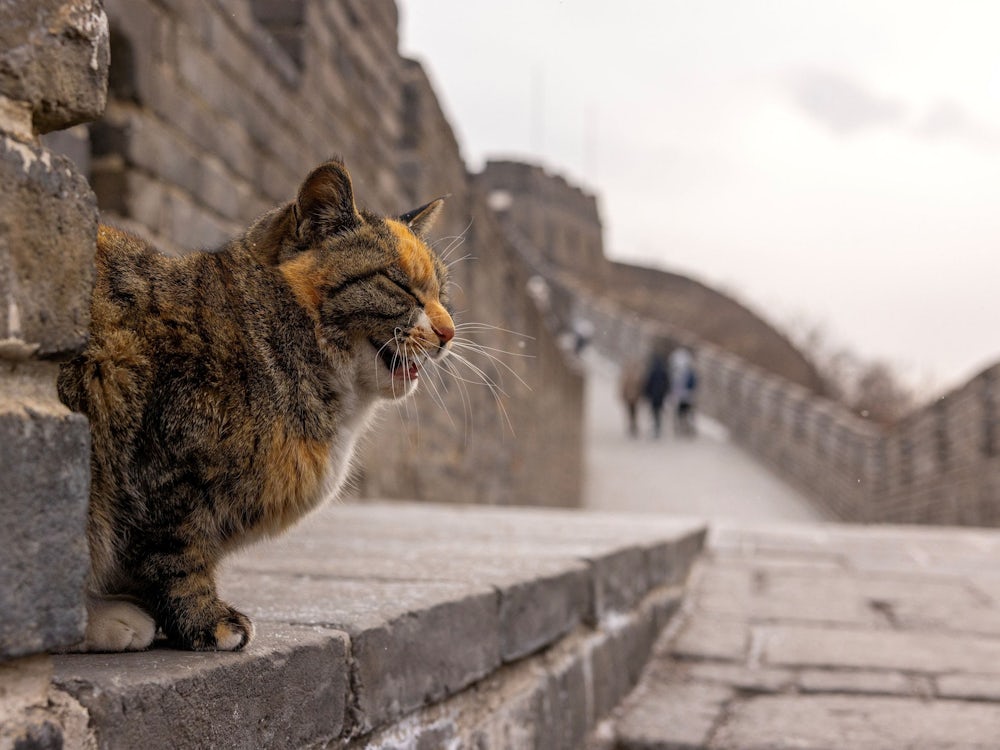Momentaufnahmen im Januar: Bilder des Tages