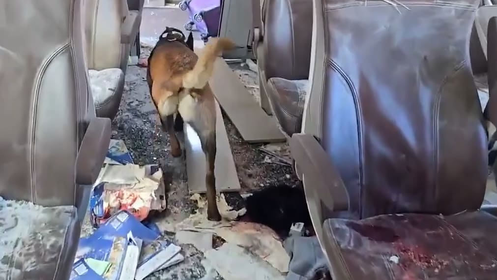 Nur noch Trümmer im Zug: Jetzt suchen Hunde nach LeichenMehr zum Video