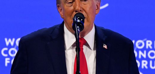Donald Trump in Davos »Das ist wahrscheinlich meine wichtigste Aussage« Trumps Rede