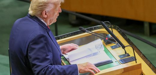 Donald Trumps Friedensrat »In Phasen des historischen Umbruchs werden manchmal absurde Ideen