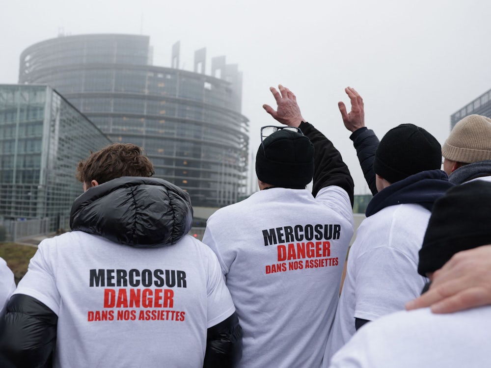 Mercosur-Vertrag: Ein paar Prinzipienreiter geben die  EU der Lächerlichkeit preis