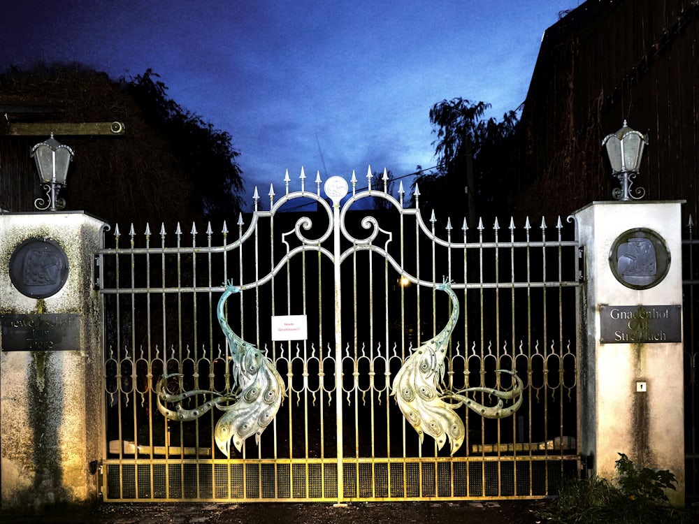Seuchenschutz: Germeringer Gnadenhof wieder frei von Geflügelpest