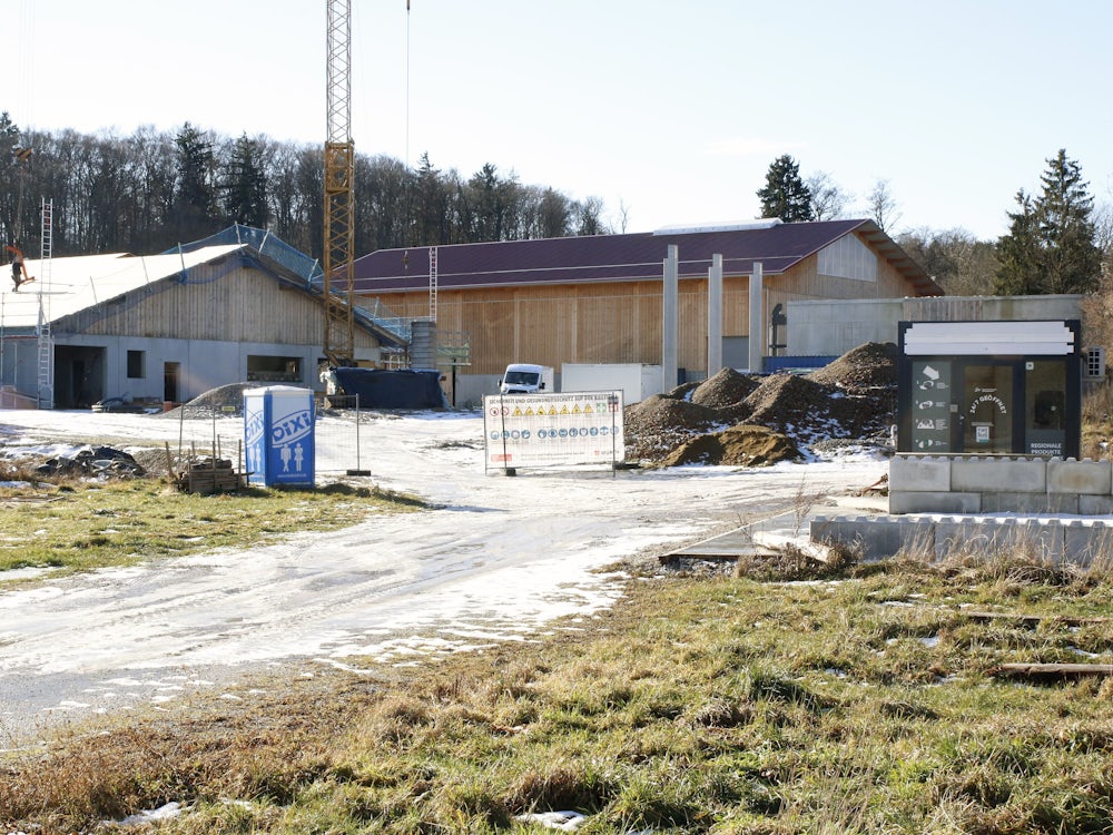 Tierschutzskandal: Dießen stellt sich gegen Ausbau von Ziegenhof