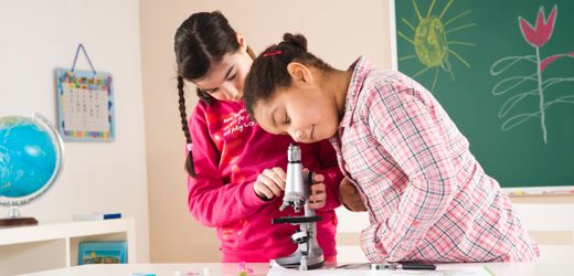 Statistisches Bundesamt 29 Prozent der Schülerinnen und Schüler haben eine Einwanderungsgeschichte In