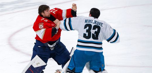 Wenn sich zwei Eishockey-Torhüter prügeln … Schlägereien auf dem Eis sind in