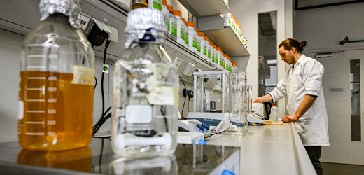 Bayern hängt Berlin ab Deutsche Start-ups erhielten 2025 mehr Geld Trotz wirtschaftlicher