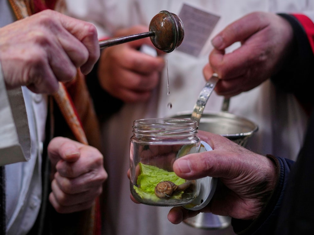Leute: Schnecke, Weihwasser, Salatblatt