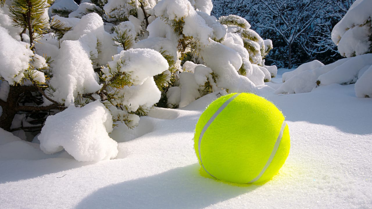 TTS-Player überspringen↵Artikel weiterlesenIm Winter liegen sie plötzlich in vielen Gärten: grellgelbe Tennisbälle.