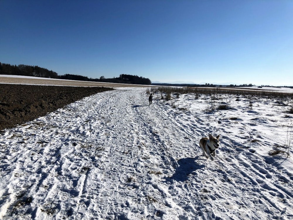 Freizeit im Winter: Die elf schönsten Sonnenspaziergänge rund um München