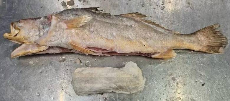 Im niederländischen Barneveld bei Arnheim haben Polizei und Zoll 319 Kilogramm Kokain