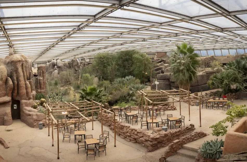 Im Burgers‘ Zoo im niederländischen Arnheim laufen derzeit Umbauarbeiten im Ökodisplay Desert,