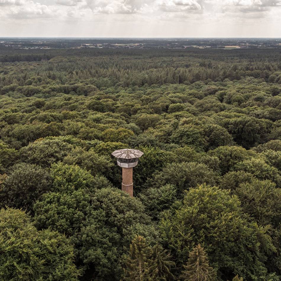 Während ein neuer Antrag für den Bau von elf Windrädern im Reichswald