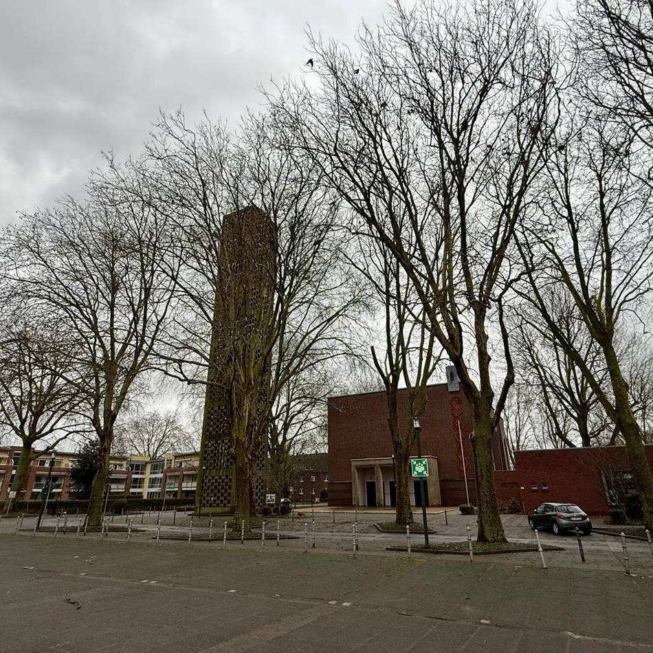 Krähenplage in Kleve: Anwohner fordern Menschenschutz vor Artenschutz.