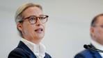 AfD: AfD-Spitze wirft Vorwürfe der Vetternwirtschaft zurück