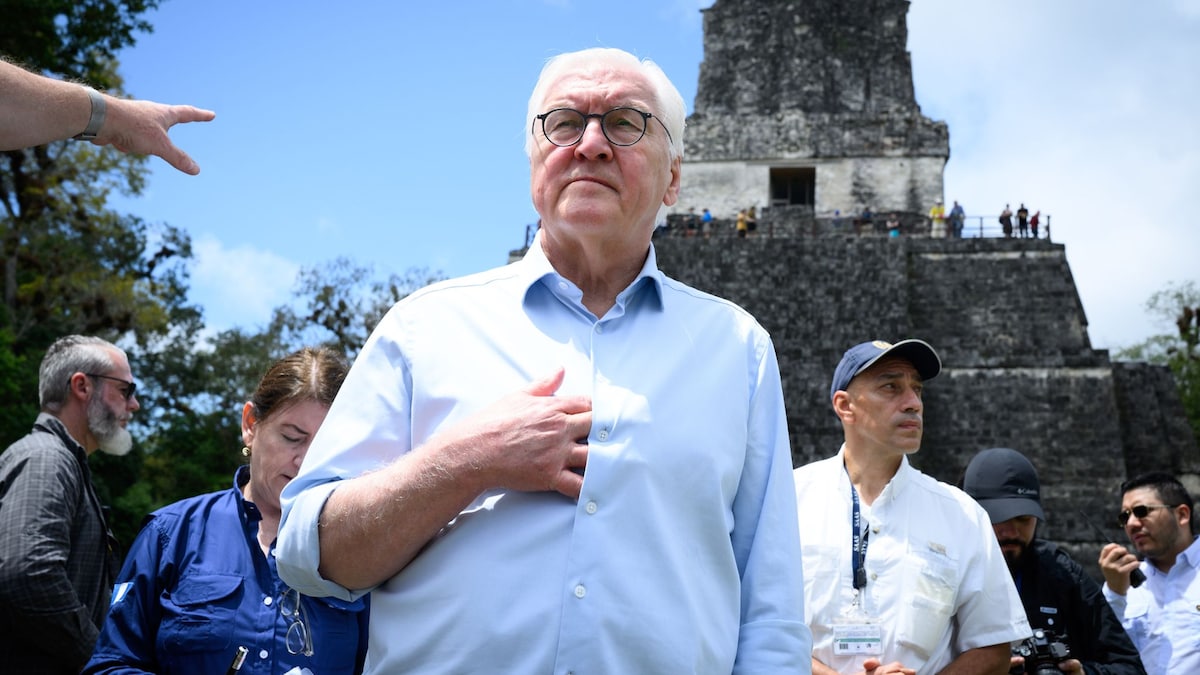 Steinmeier: Beziehungen zu gleichgesinnten Staaten ausbauen