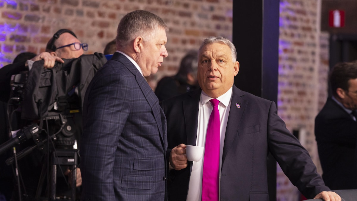 Fico will Orbans Blockierer-Rolle in der EU übernehmen – falls er die Wahl verliert en sy party se invloed in die Europese Unie sal wa