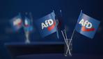 Verwaltungsgericht Berlin: AfD verliert Verfahren um Millionenspende gegen Bundestag