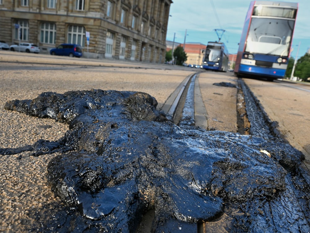 Extremhitze: Greenpeace: Schäden von 36 Milliarden Euro durch Sommer